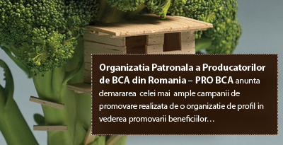 Organizatia Patronala a Producatorilor de BCA din Romania – PRO BCA