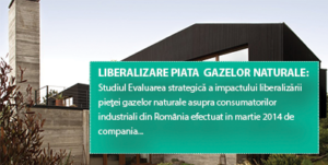 Propuneri liberalizare piata gaze naturale si pastrarea unui pret rezonabil