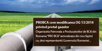 PROBCA cere modificarea OG 13/2014 privind pretul gazelor
